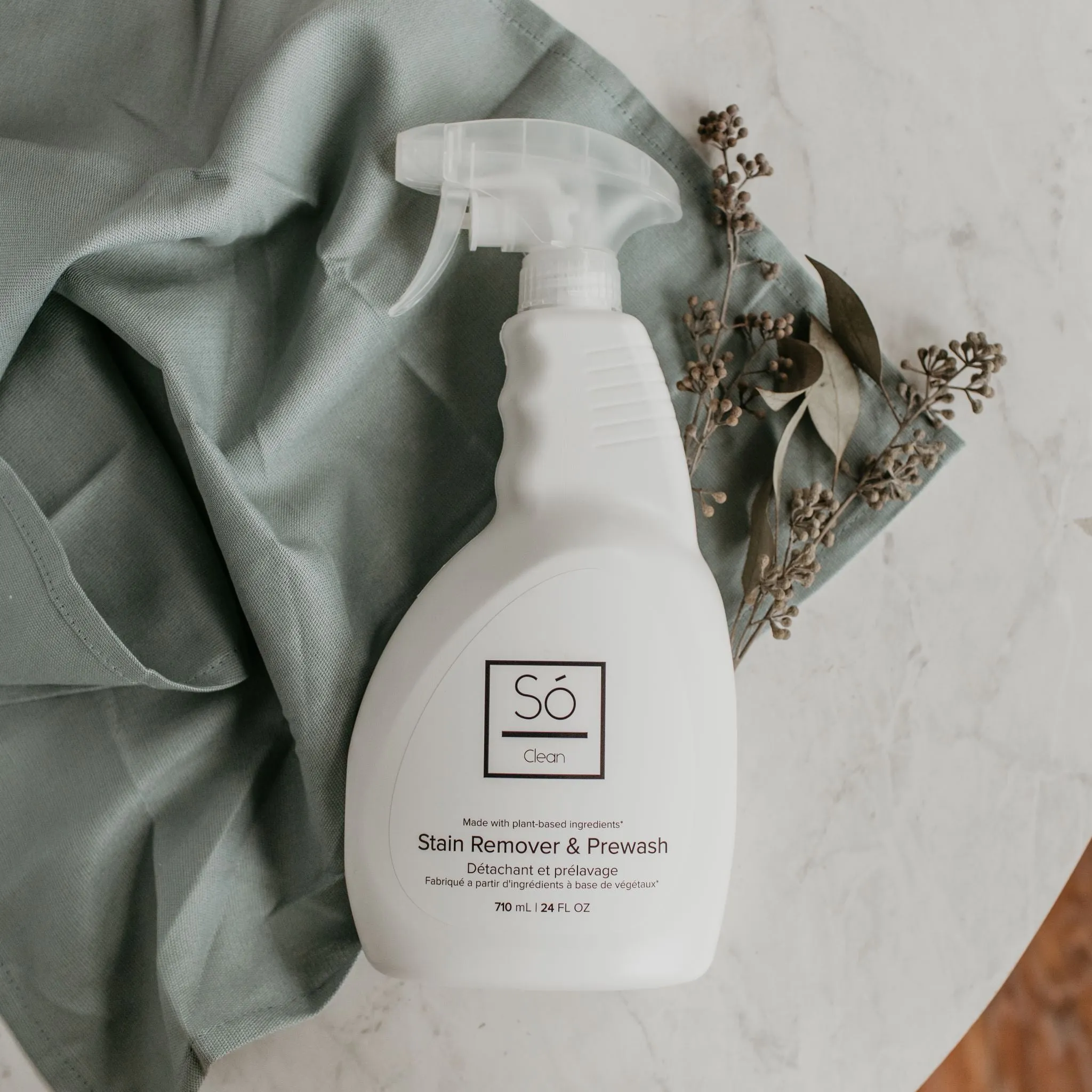 Clean - Stain Remover & Prewash (Case)