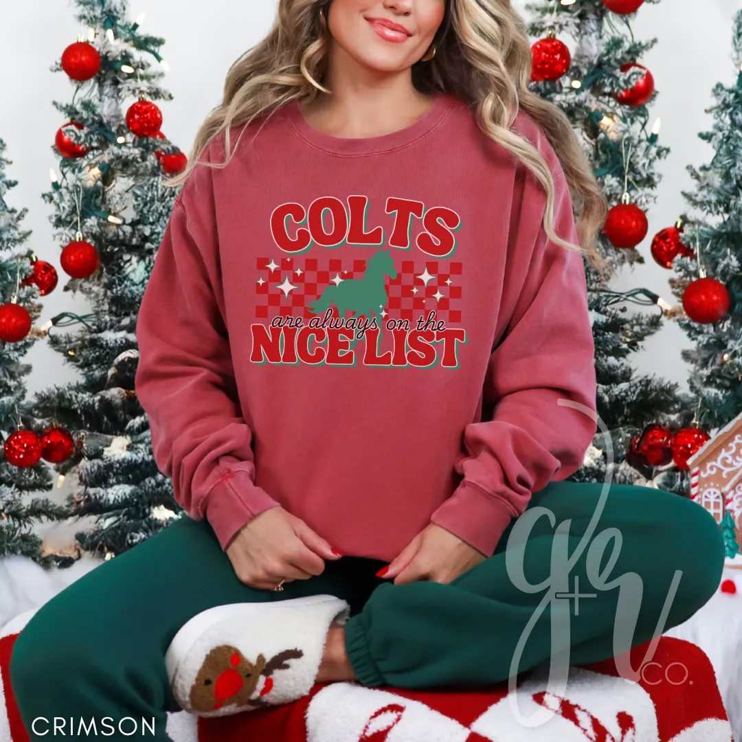 Colts Are Always on the Nice List (Tees Sweatshirts)
