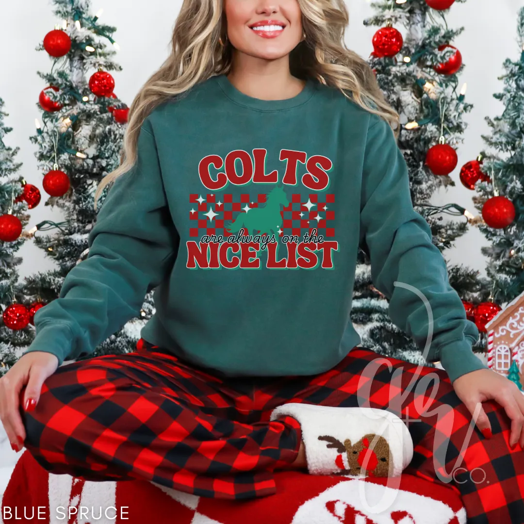 Colts Are Always on the Nice List (Tees Sweatshirts)