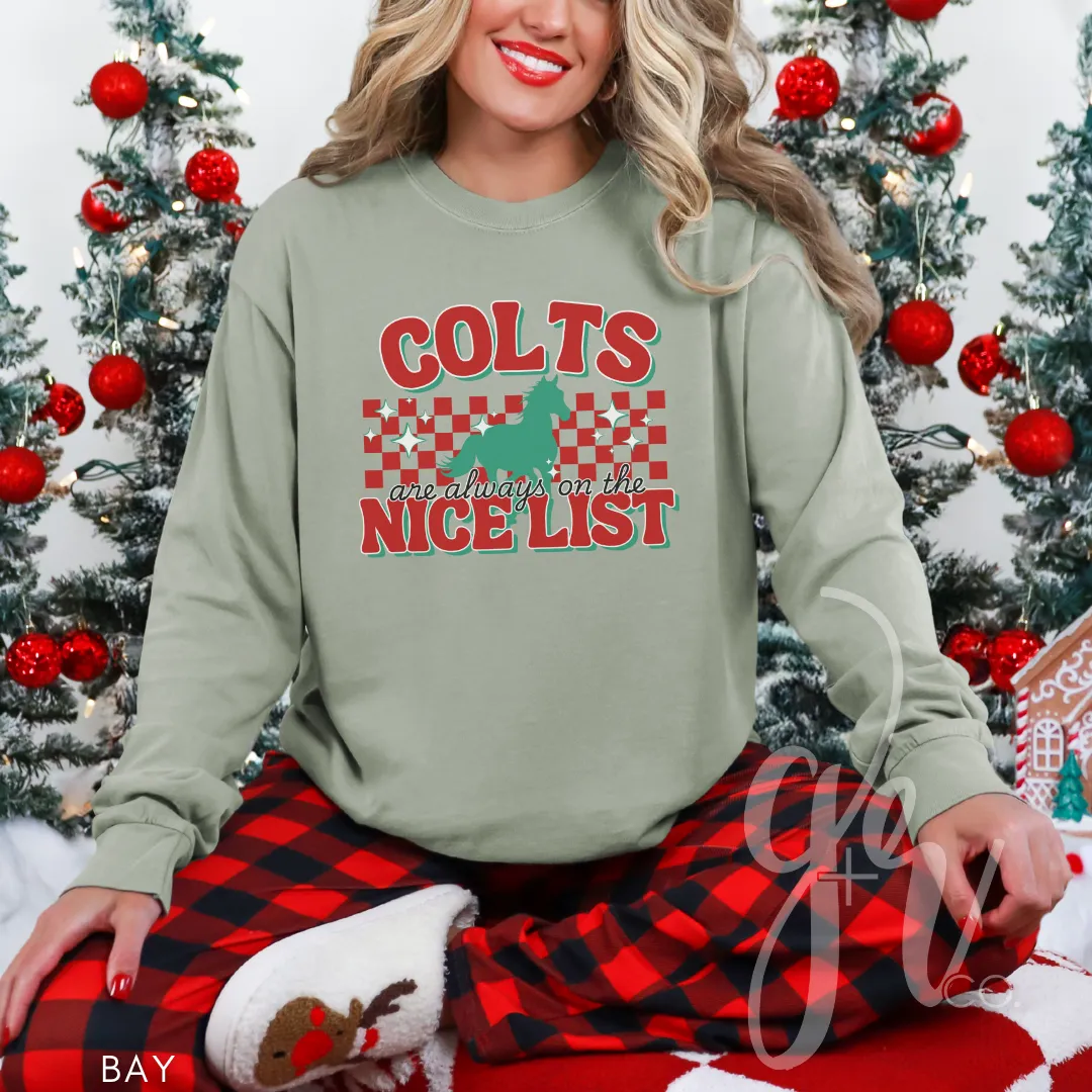 Colts Are Always on the Nice List (Tees Sweatshirts)