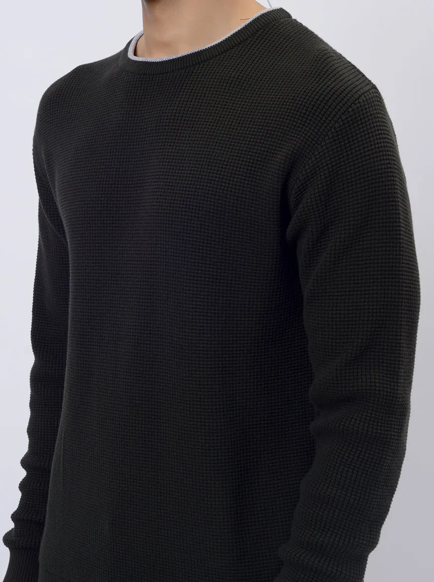 Dark Olive Solid Regular Fit Winter T-Shirt | JadeBlue