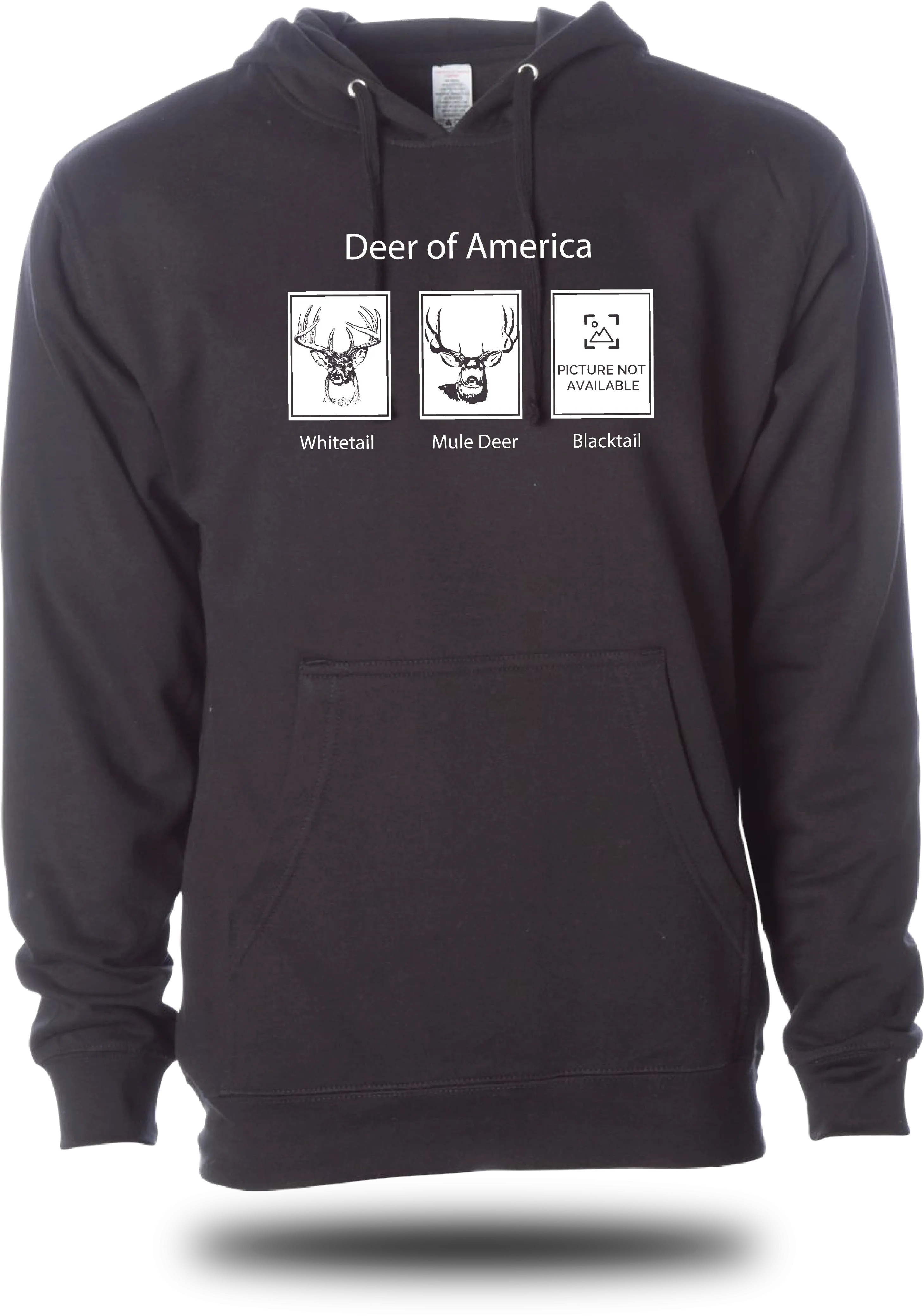 Deer of America