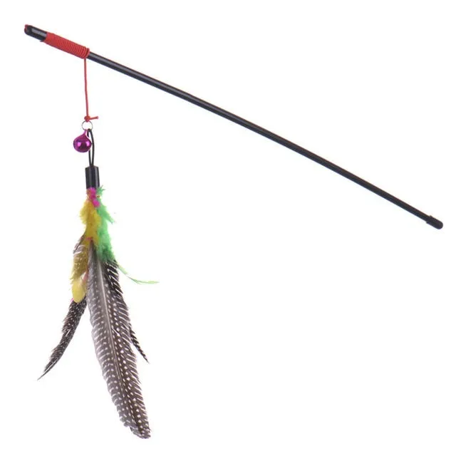 Feather Interactive Teaser Toy
