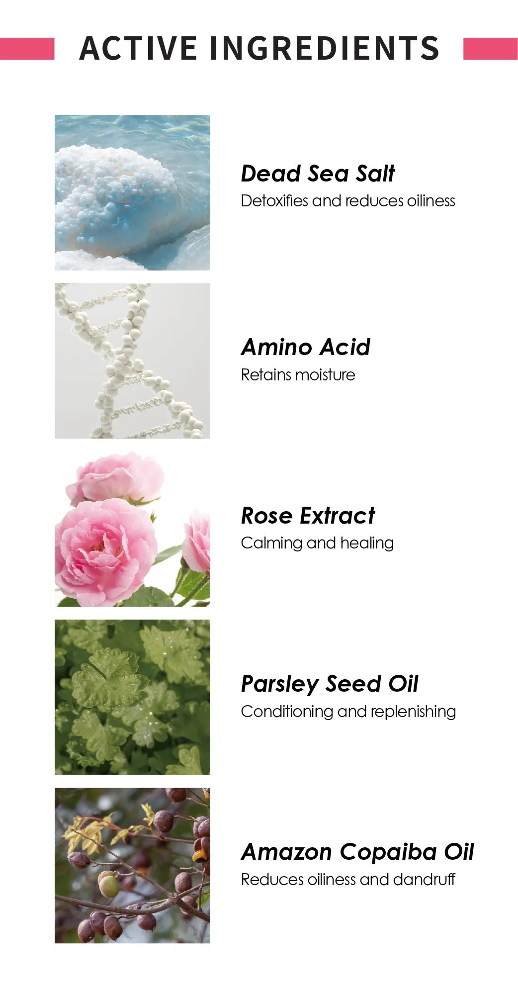 (New) Purifying Shampoo with Dead Sea Salt