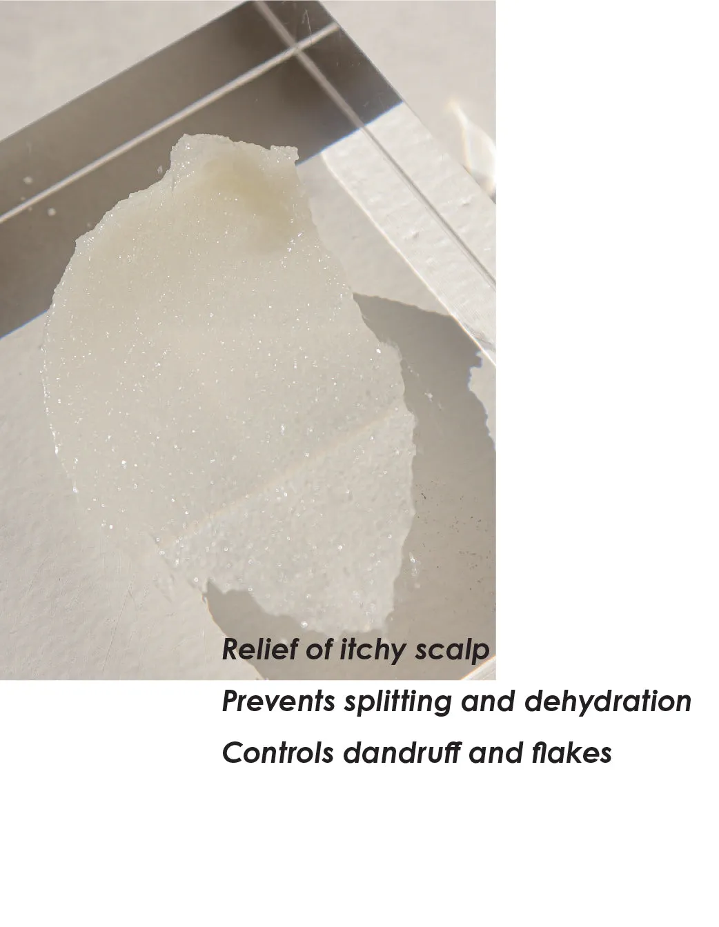 (New) Purifying Shampoo with Dead Sea Salt
