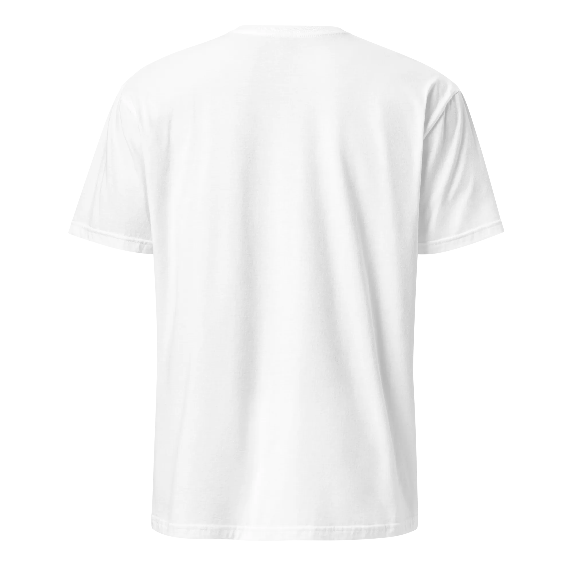 Raised on Dembow Unisex Dominican T-Shirt
