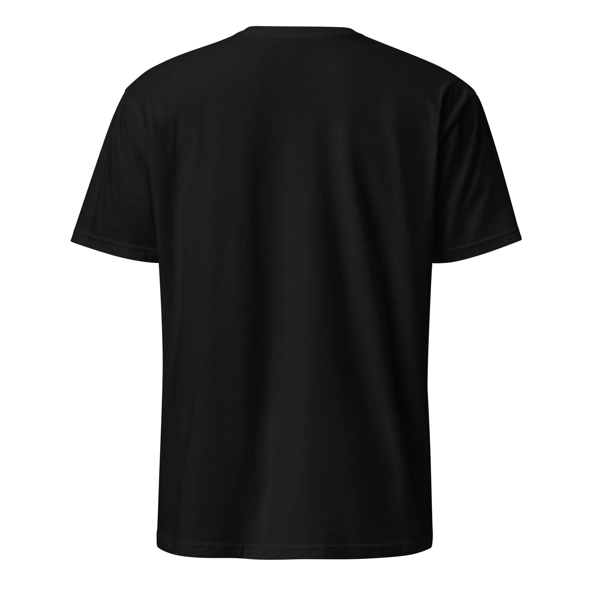 Raised on Dembow Unisex Dominican T-Shirt
