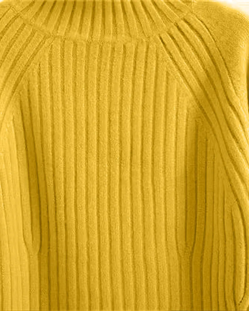 Sweater with turtleneck