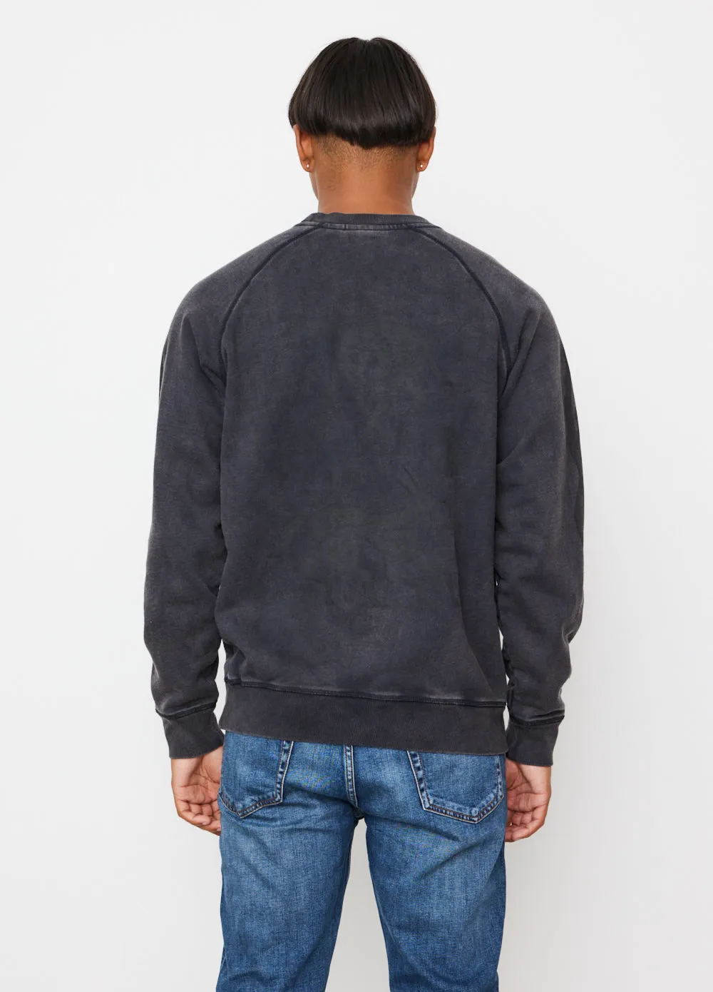 Swimming with Pets Sweatshirt