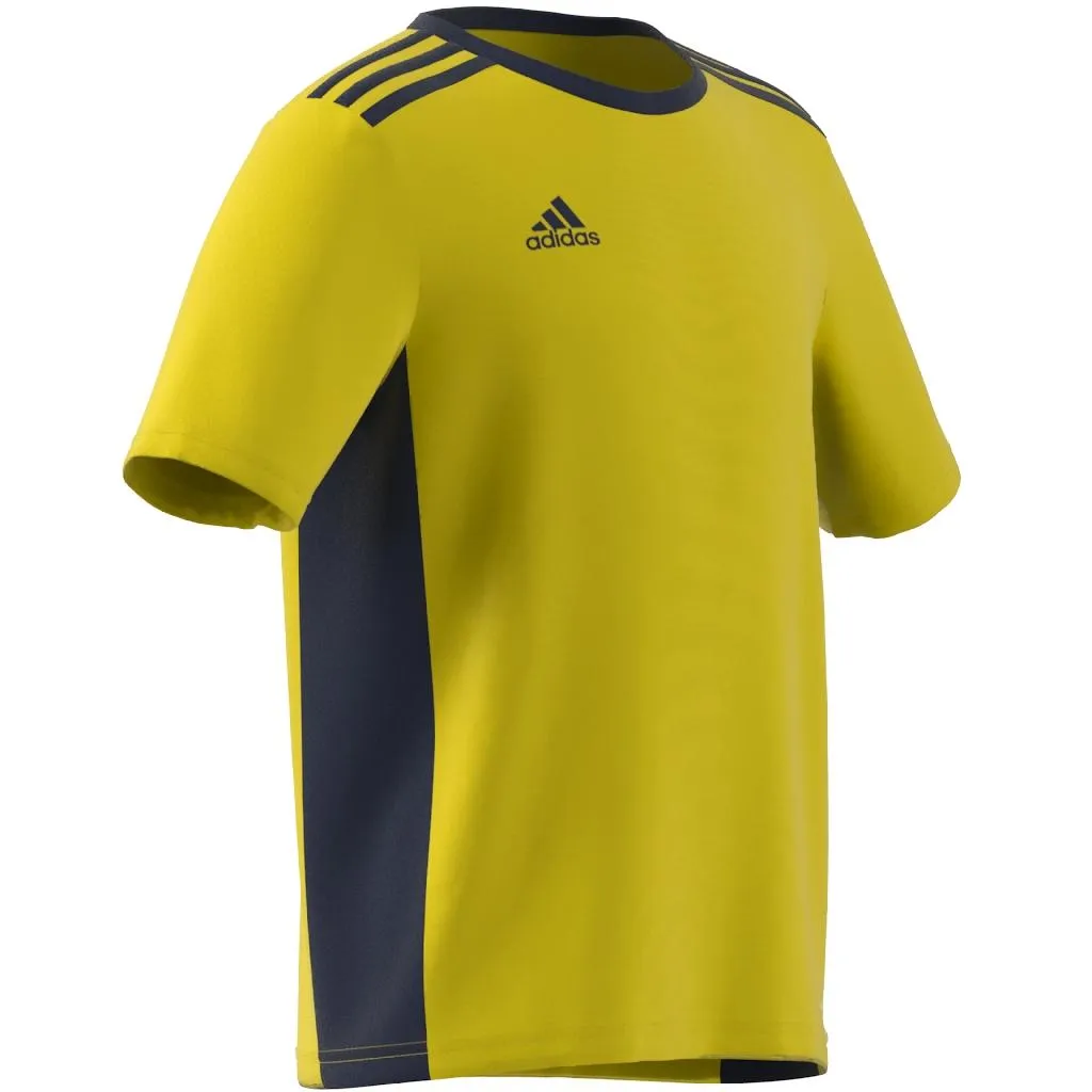 T-SHIRT MAGLIA BIMBO ADIDAS ENTRADA BAMBINO JUNIOR