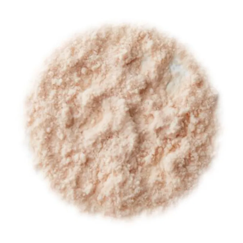Temptu Invisible Difference Finishing Powder