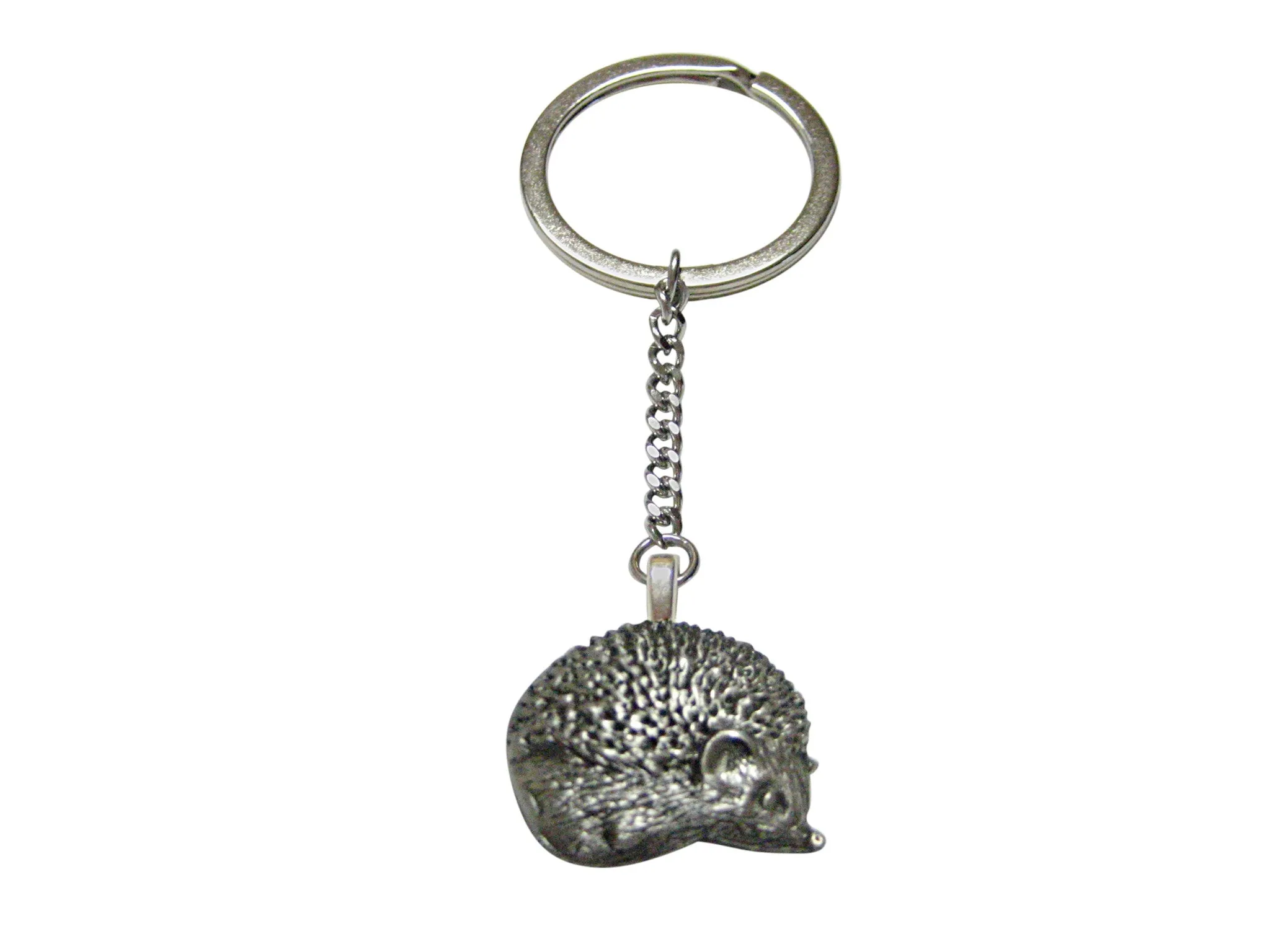 Textured Ammonite Fossil Keychain