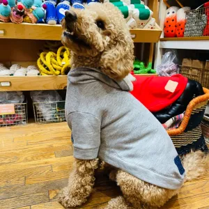Wyatt Hoodie Sweatshirt - Grey Heather