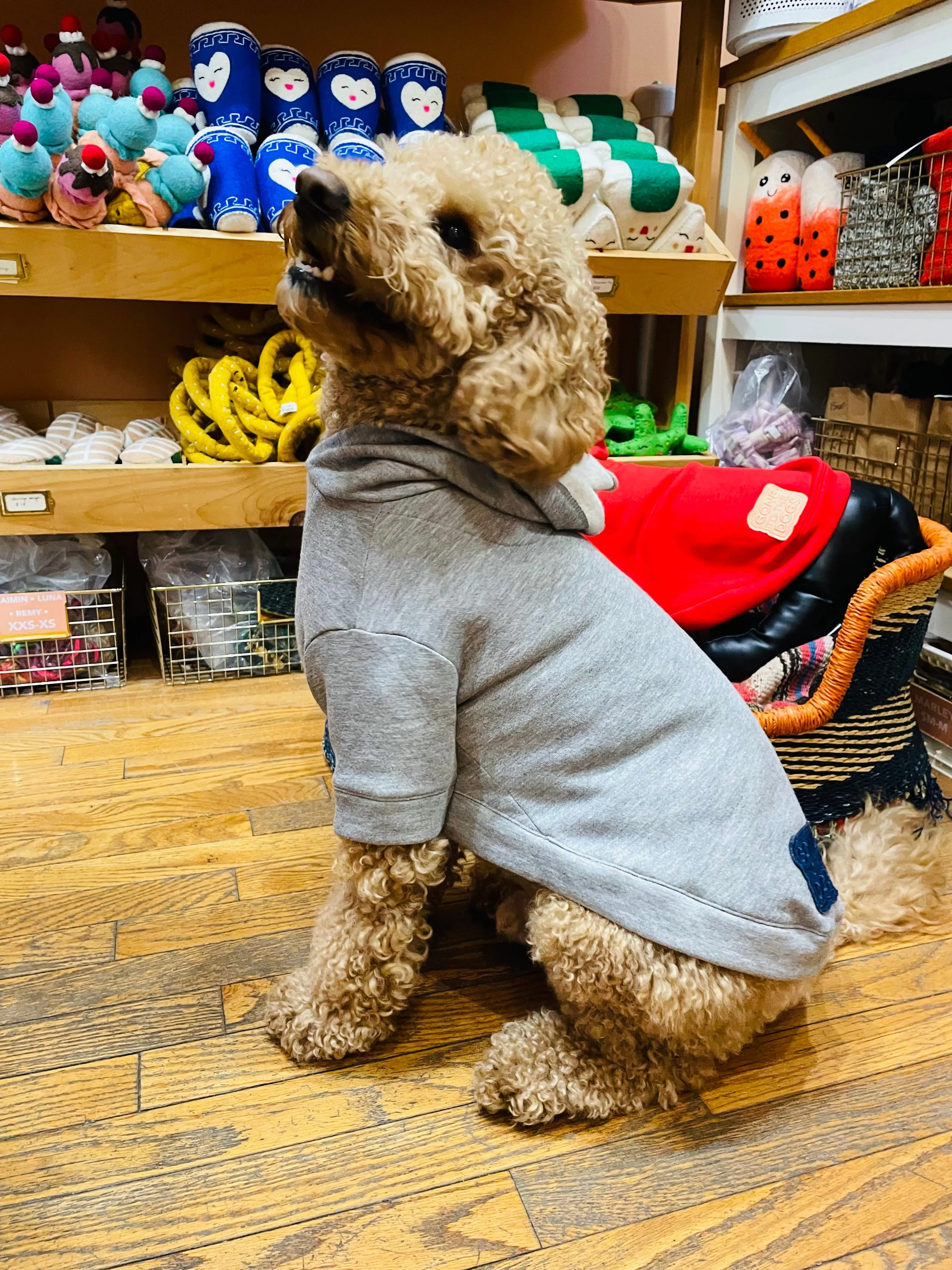 Wyatt Hoodie Sweatshirt - Grey Heather